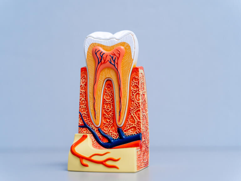 Save Your Tooth